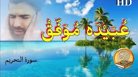 عبيدة موفق من أجمل أصوات القرآن | سورة التحريم | Obaida Muwafak | Surah Tahrim [ HD]