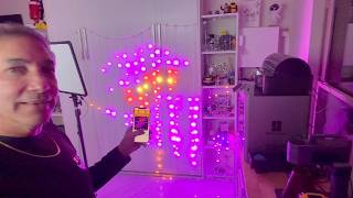 Curtain Lights with App Review & Unboxing  - 4K screenshot 3