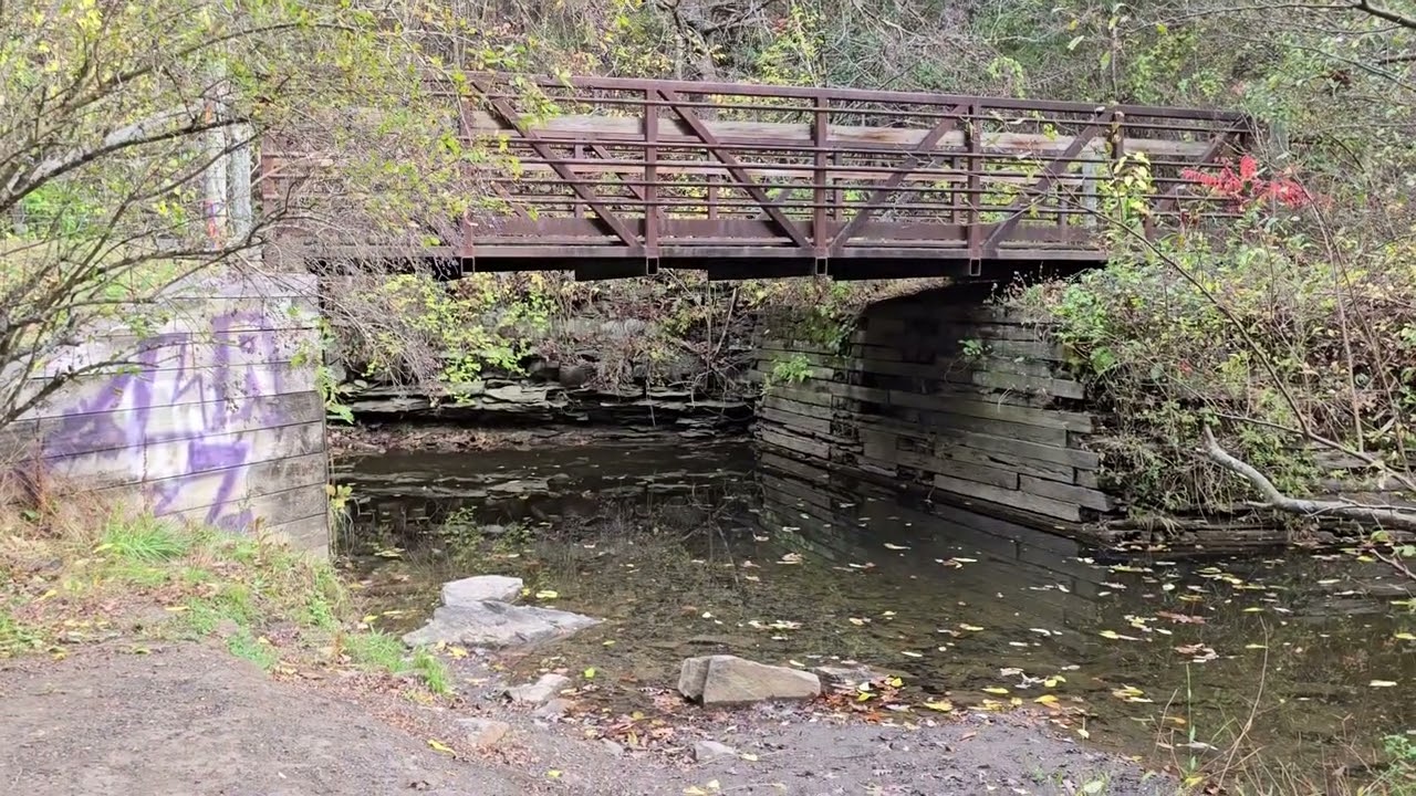 Train on Huckleberry Trail with jazzy calming music