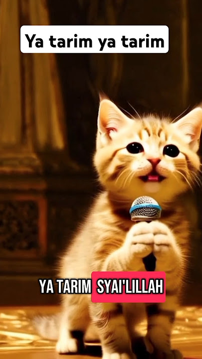 Kucing sholawatan ya tarim ya tarim #kucingsholawatan #kucing #yatarim #shorts