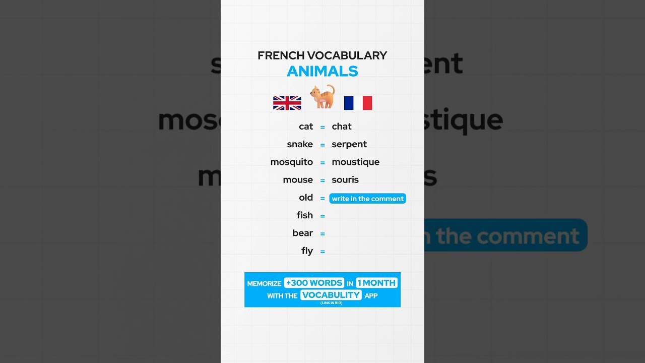 Animals French Vocabulary 🇫🇷
