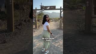 Download Lagu 🥾⛰️ Tackling The Hatta Sign Hike: UAE's Thrilling Challenge MP3