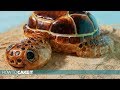 3 AMAZING Animal CAKES! | Compilation | How To Cake It