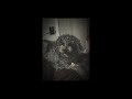 New Computers Demo Girlfriends Slowed