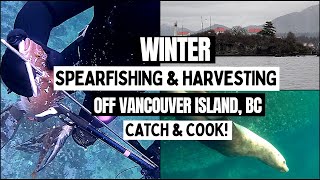 Spearfishing & Harvesting off Vancouver Island (Feb 2023)