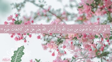 سورة الزمر الاية 38 / ياسر الدوسري