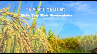 Lirik Ya Latif ( Maha Lembut ) - Ai Khodijah