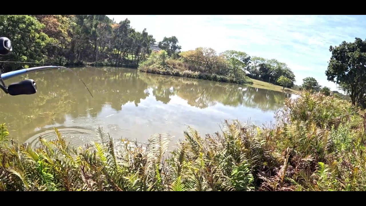 I SKIPPED SCHOOL to catch BIG bass [WORTH IT!!]