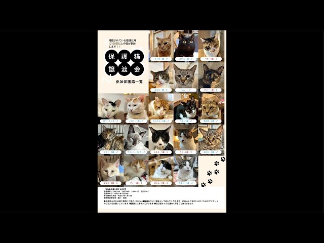 sddefault.jpg?v=692ae4c1