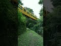 ここ、まるでジブリの世界です。