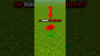 😲 En Fazla Ne Kadar Gül Dikebilirsiniz? (GÜN 2) 🌹