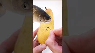 Do This to Catch Amur Carp! 🤫🎣 🍐 #shorts