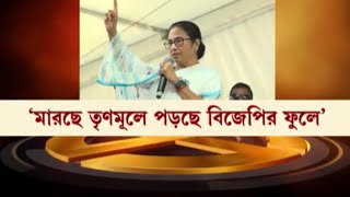 Lok Sabha Election 2024 : TMCতে ভোট দিলে পড়ছে BJPতে! ইভিএমে ‘কারচুপি’তে সরব Mamata | Bangla News