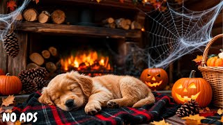 картинка: 12 часов расслабляющей музыки для собак 🐕 Нежные щенячьи колыбельные от стресса, для исцеления и сна
