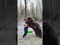 URSO CONTROLA A FORÇA e o comportamento muda em interação treinada #curiosidades #animais 🐻✨