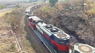 Tren Directo GuadalajaraMexicali SD70ACe 4127 4014 4054