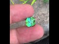 6.60 Carats Natural Bluish Green Tourmaline Gemstone with Charming Cushion Shape from Afghanistan