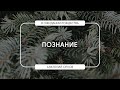 Познание | Анатолий Орлов