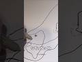 クモが描いた芸術作品らしいけど