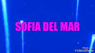 Un Dia Normal Sofia Del Mar