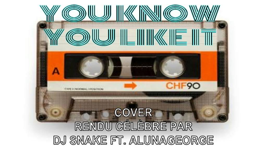 DJ SNAKE - You Know You Like It // Cover by Volpe Production