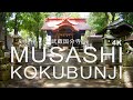 【4K】Musashi Kokubunji Temple 武蔵国分寺 | Japanese Temple/Shrine Walk | GoPro POV