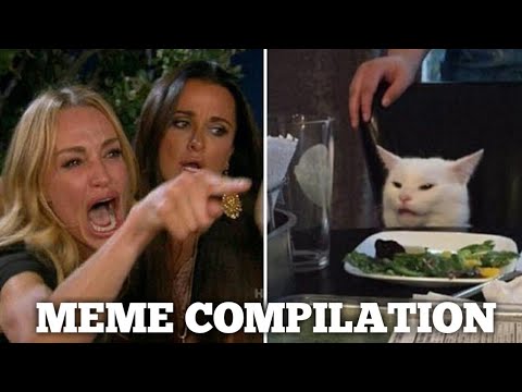 yelling-women-and-sledge-cat-meme-compilation-|-cat-and-women-memes-|-viral-memes