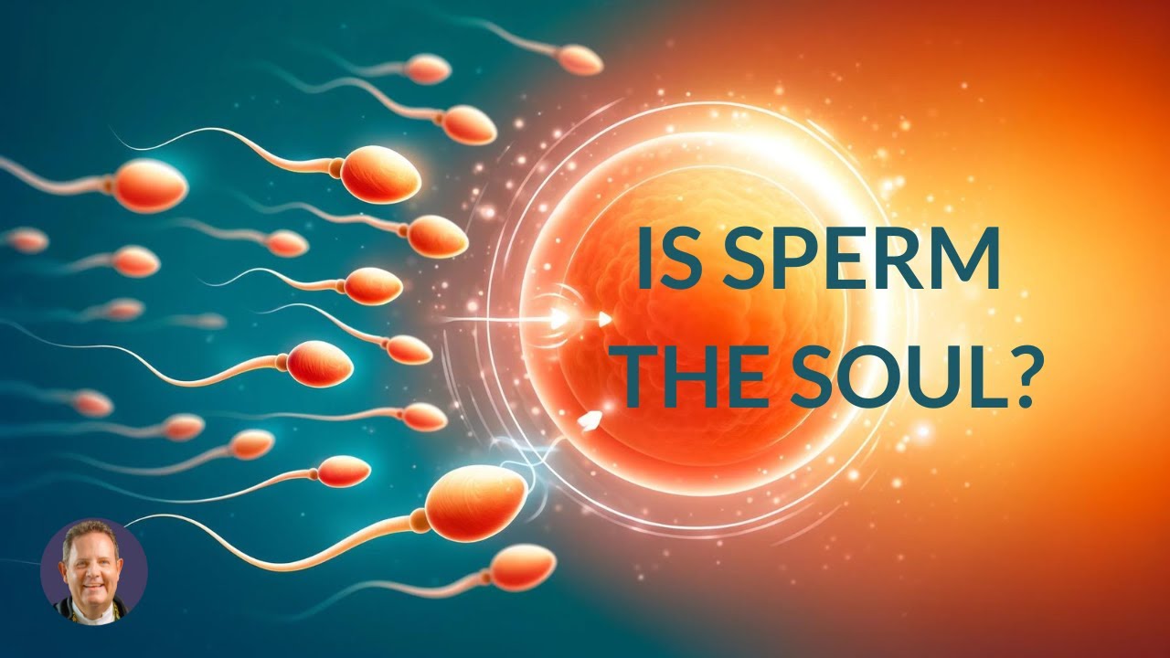 Discovering The Soul's Role In Conception And Sperm Creation