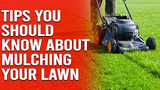 Useful Tips You Should Know About Mulching Your Lawn by Trim That Weed - Your Gardening Resource 309 views 13 days ago 2 minutes, 45 seconds