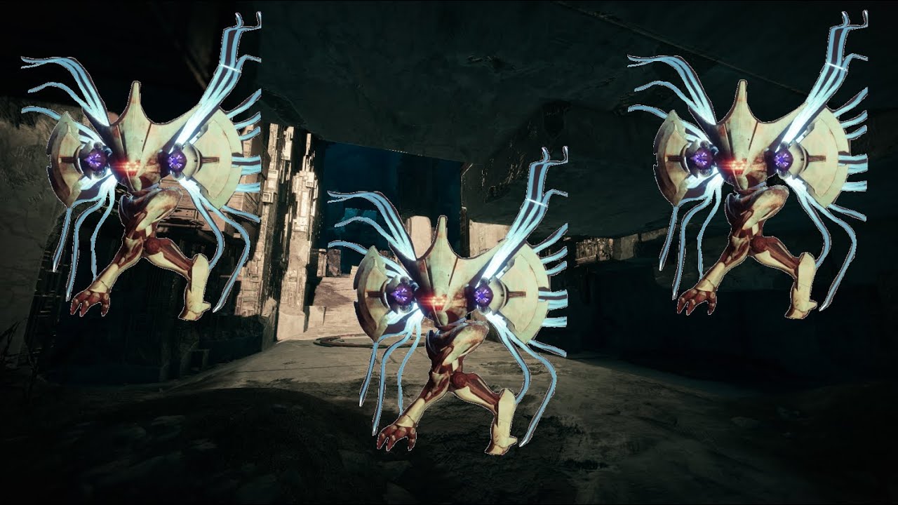 Solo Confluxes (VoG) Season of the Risen YouTube