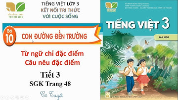 Bài 10 Tiết 3 Từ ngữ chỉ đặc điểm, câu nêu đặc điểm - Tiếng việt 3 Kết nối tri thức với cuộc sống