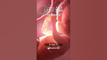 Surah Ar-Rum (The Romans) 11 : Urdu | Hindi Audio Translation HD | سورة الروم