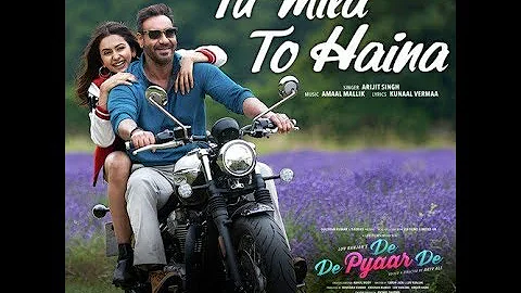 De De Pyaar De | Song - Tu Mila To Haina