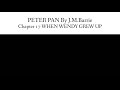 Audiobook: [PETER PAN By J. M. Barrie] Chapter 17 WHEN WENDY GREW UP