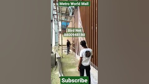 #birdnet Metro World Mall Bird Net Installation. Bird net service 18001024540