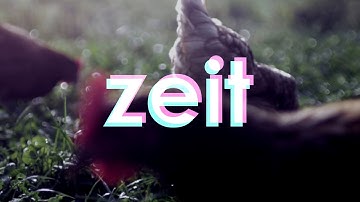 Cannibanalsex - Zeit (Field Recording Live Session)