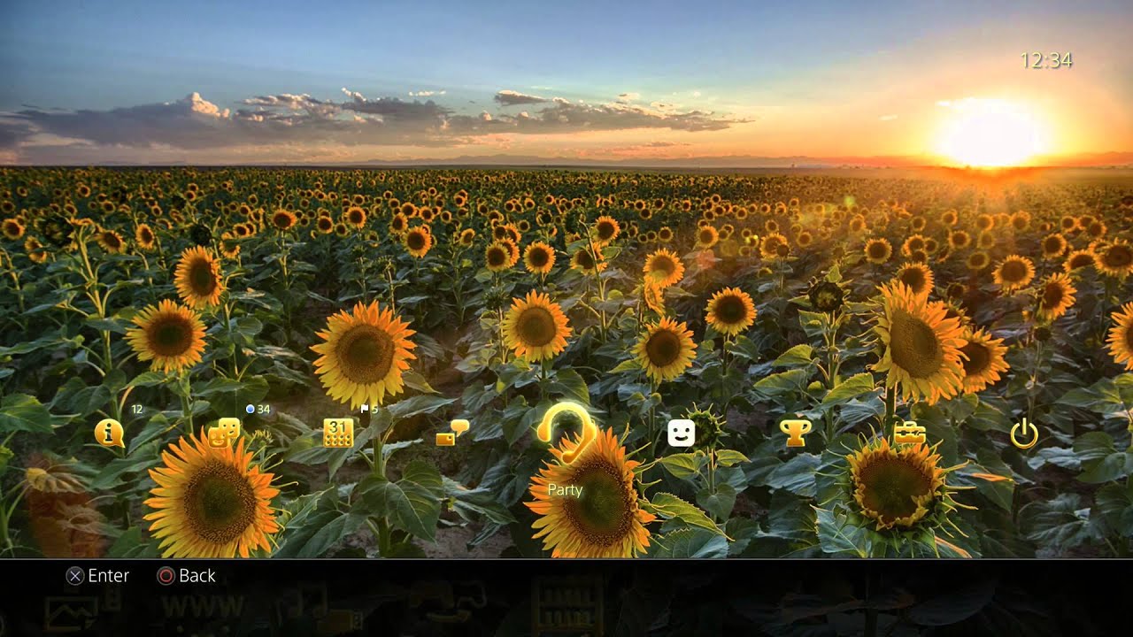 Sunflower Fields PS4 Static Theme