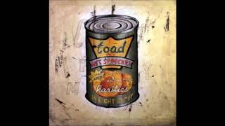 Watch Toad The Wet Sprocket All She Said video