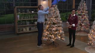 Bethlehem Lights Flocked Wintry Pine Tree with IPT Technology on QVC