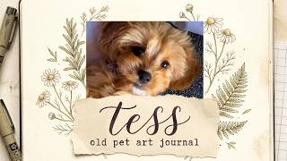 Inside My Old Pet Art Journal | Puppy Sketches, Ink & Tess