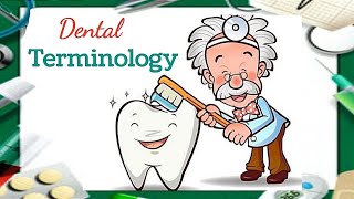 Dental terminology مصطلحات طب الاسنان