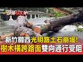 新竹關西光明路土石崩塌！「樹木橫跨路面」雙向通行受阻【頭條600秒】