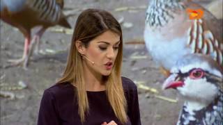 Ne Shtepine Tone, 9 Qershor 2016, Pjesa 1 - Top Channel Albania - Entertainment Show