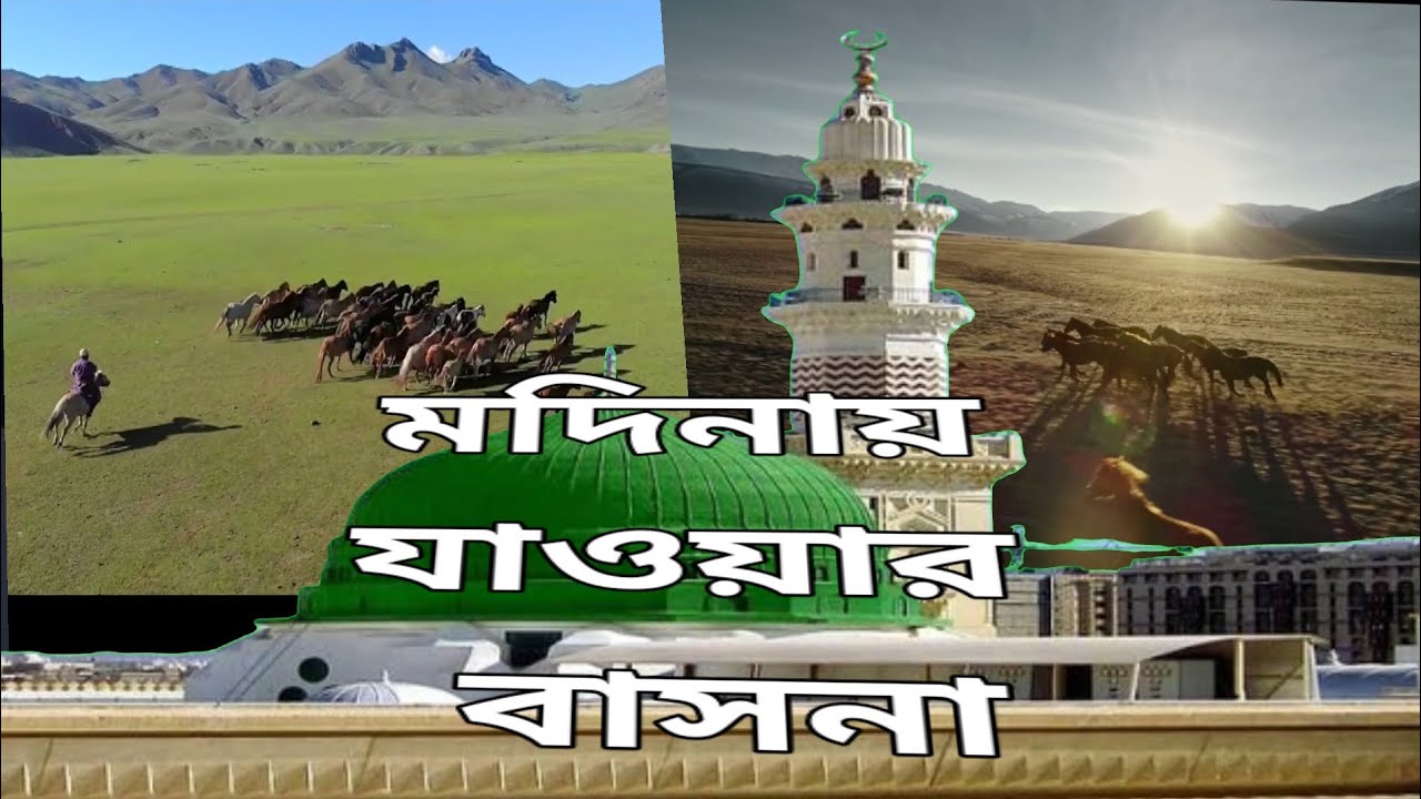 মনে বড় আশা ছিল যাব মদিনা,,, 