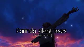 new lofi song - parinda silent tears lyrics video 💔 sad lofi song - Hindi songs + ( slowed reverb )