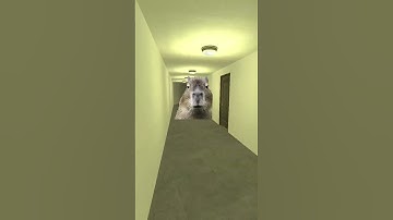 Capybara Nextbot Gmod