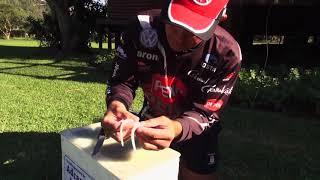 Border Chokka Bait | ASFN Baits & Traces