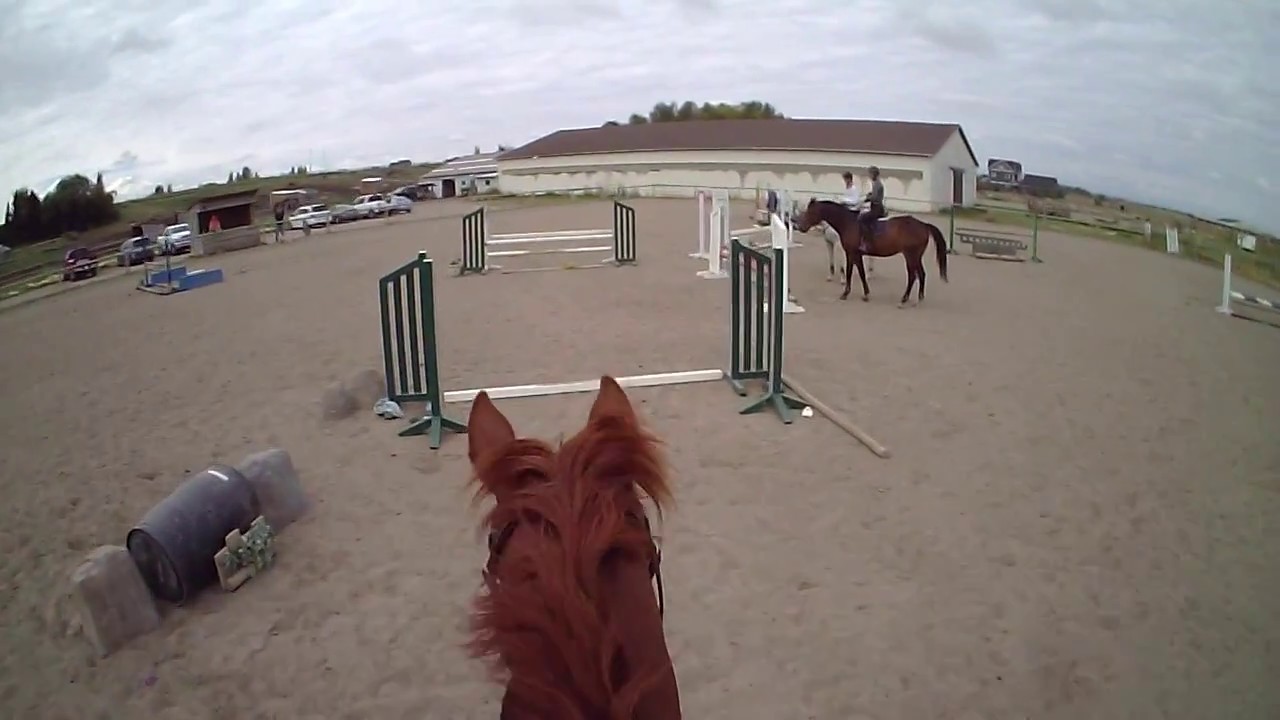 Cambox Helmet Camera Edit Claire Equestrian YouTube