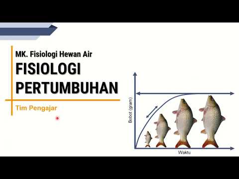 Video: Pertumbuhan Cepat, Pematangan Awal Dan Waktu Generasi Pendek Pada Ikan Tahunan Afrika