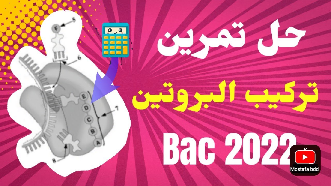 تمرين رقم 11 بكالوريا 2022 [ تركيب البروتين ] - كيف نحسب الوزن الجزيئي 🧭 ؟